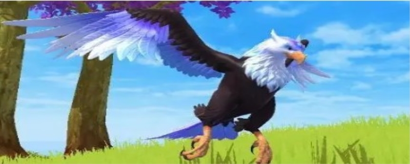 03d1c41f6e0a1862206c6c4d5376700a.jpg