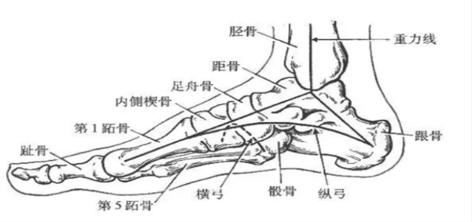 fa5655082c6708f2238065ad251eedb7.png