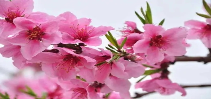 ad189b23d912ec69d9a777a99d3b1ca1.jpg